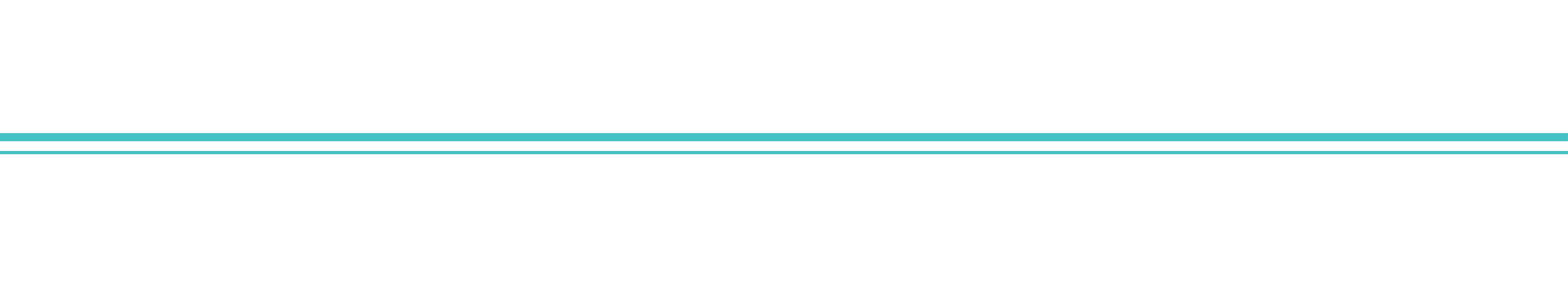 blue line page break blue line page break