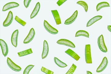 Slices of fresh green aloe vera on white background. slices of fresh green aloe vera on white background