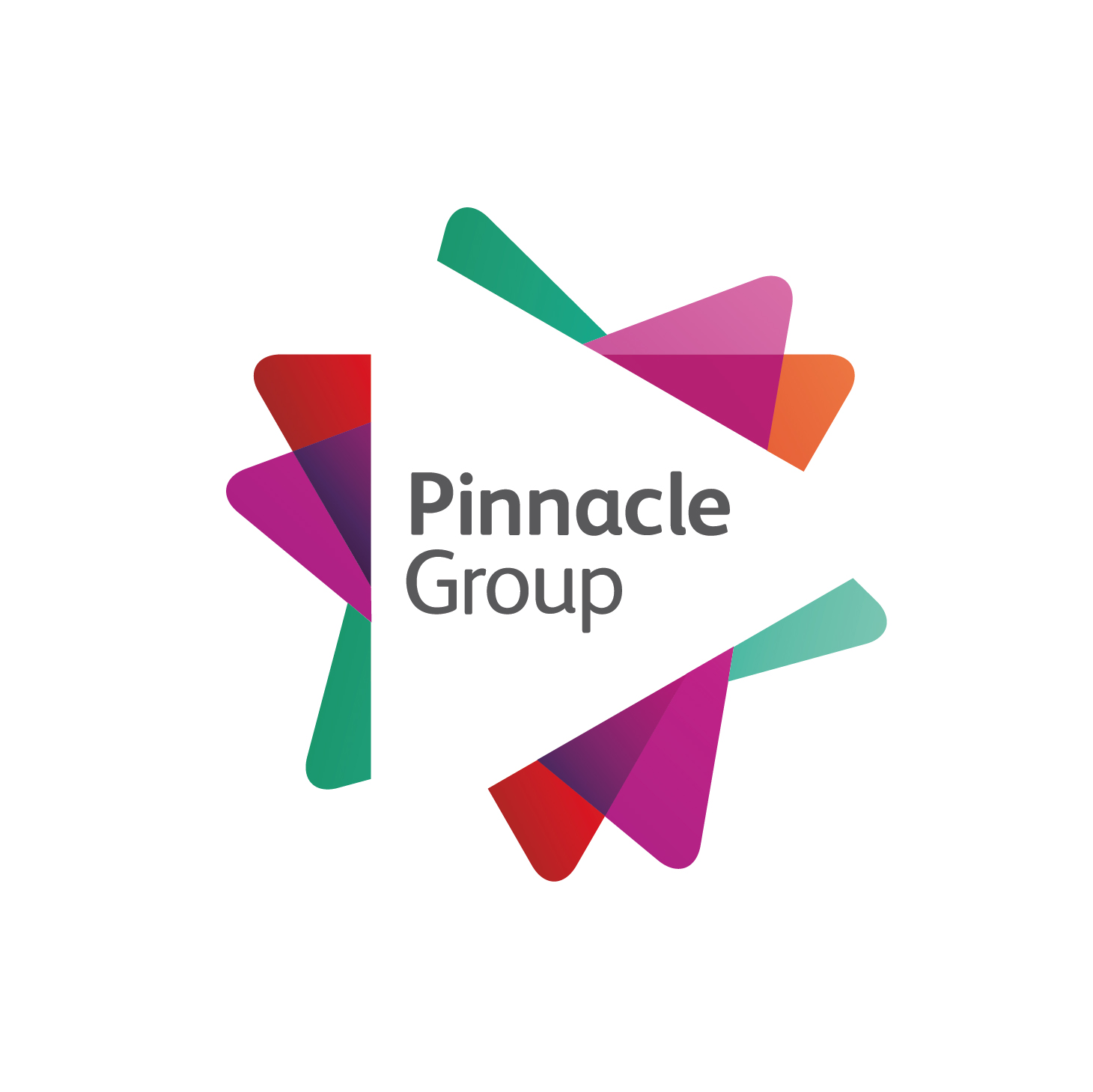 Company pinnacle group