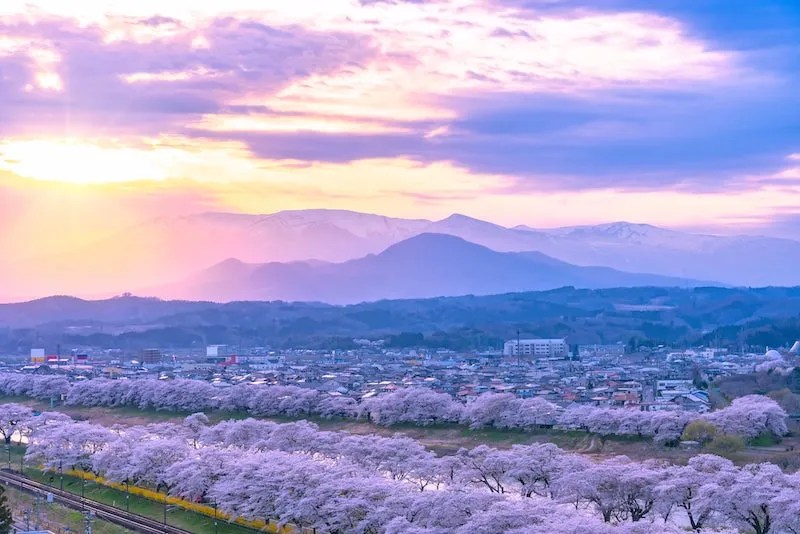 The Shibata Sakura Festival, the Zao Mountains, Funaoka Castle Park (船岡 城址 公園) and the Hitome Senbon Zakura from the observation deck that crosses over the the Tohoku Line’s train tracks.