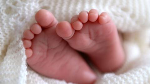A baby's feet wrapped up in cotton wool.