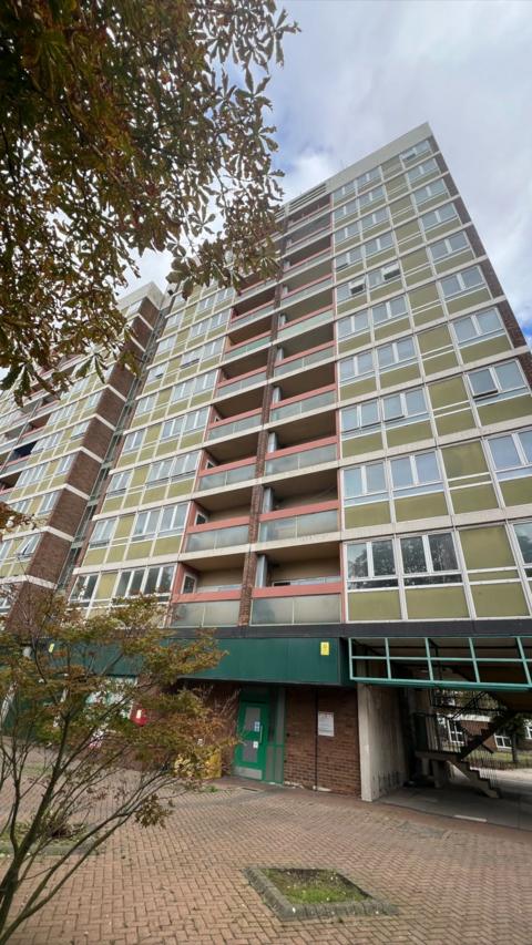 A run down tower block that is surrounded by trees.