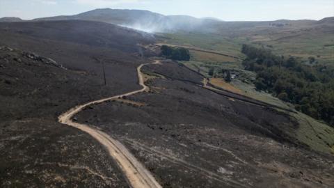 An aerial view of a scorched landscape with a path going through it