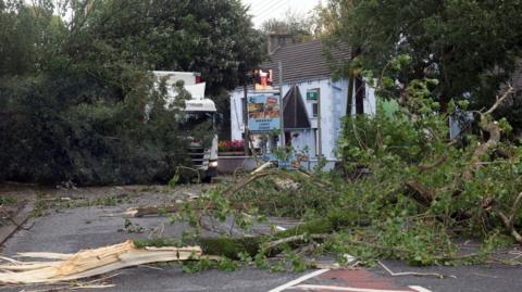 Trees lie strewn across a road. Part of a tree looks to be on top of a lorry, which is peeking around some foliage. A bus stop sign can be seen as well as a sign advertising breakfast, lunch and dinner. A blue house with grey tiles is in the background.