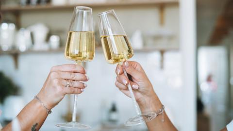 Two wine glasses are held up as if they are going to clink together, each is held up by a hand that can be seen just past the wrist