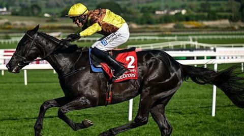 Galopin Des Champs in action