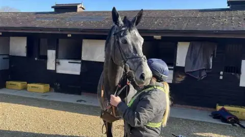 A trainer and a horse in Berkshire