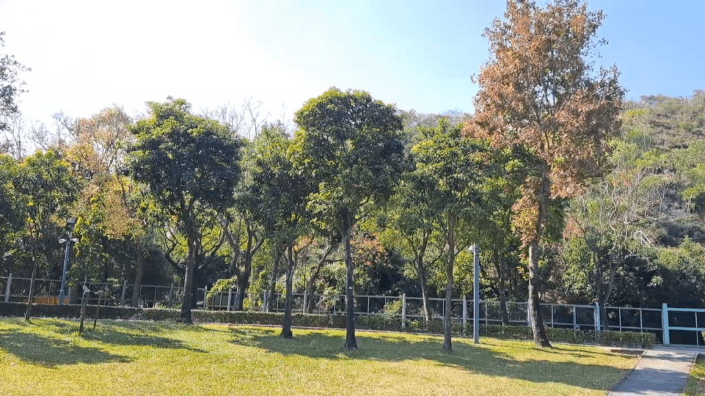 公園內種植了多種不同類型的植物，其中有十數棵楓香及烏柏紅葉（圖片來源：康文署賞花情報）