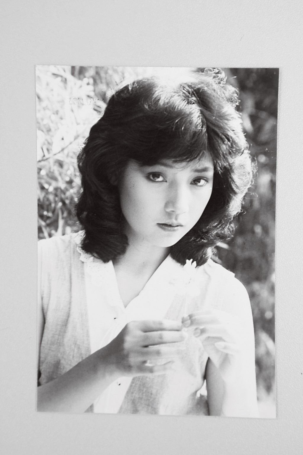 戚美珍在1980年參加無綫電視藝員訓練班第10期藝員訓練班。