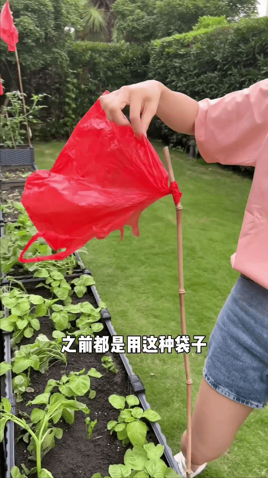 將花園變菜園。