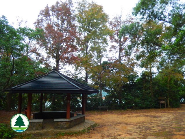  適合一家大小的新手行山路綫，行山之餘，順便欣賞楓葉。 圖片來源：漁農自然護理署