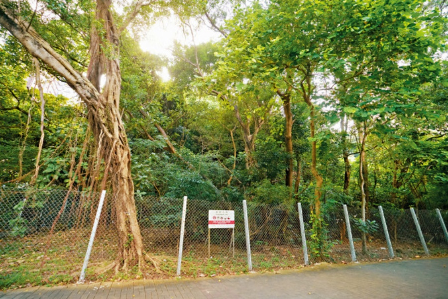 財政司司長陳茂波在今年的預算案中，預期本財年地價收入為330億元。