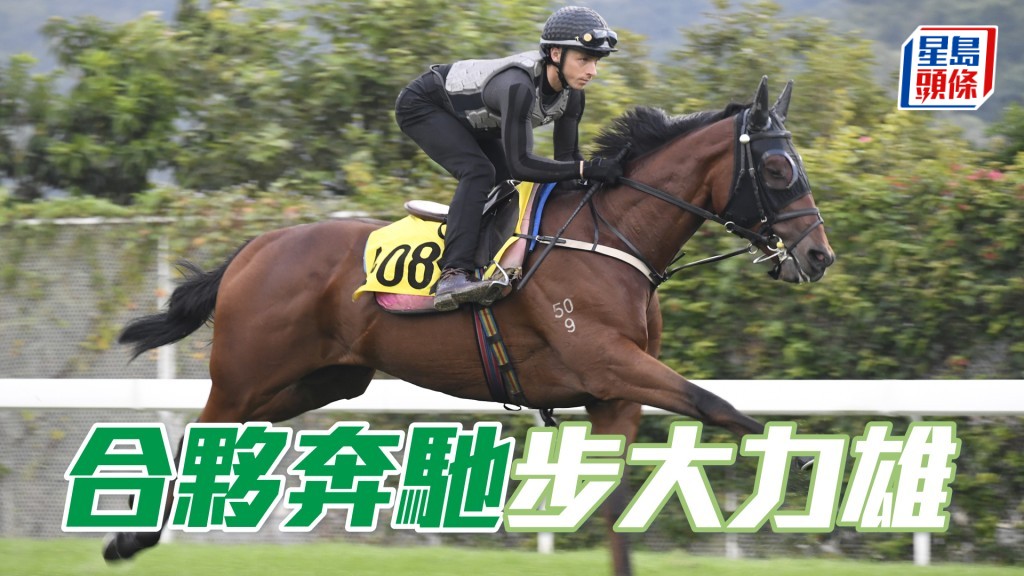 「合夥奔馳」馬收得身壯呈現線條美，勝後有進無退。