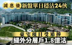 減息後新盤單日穩沽約24伙 豪宅項目受追捧 緹外分層戶1.8億招標沽