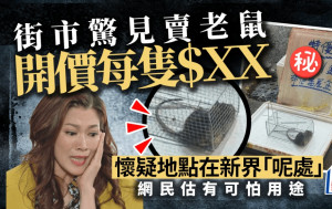 街市惊见卖老鼠开价每只＄ＸＸ 怀疑地点在新界「呢处」网民估有可怕用途｜Juicy叮