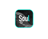 Soul