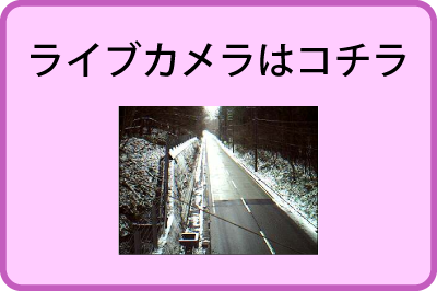 ライブカメラはコチラ