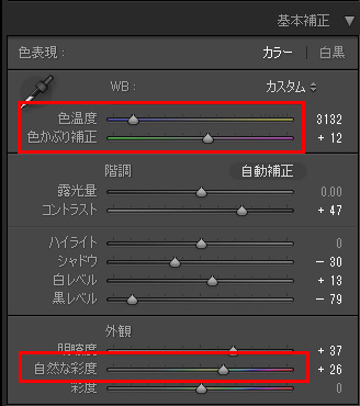 寒色設定