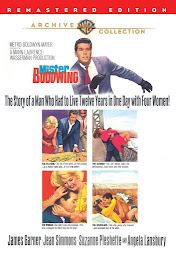 Icon image Mister Buddwing (1966)