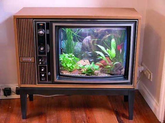 テレビの水槽
