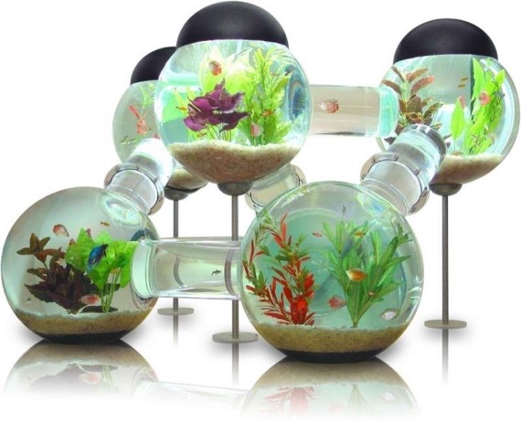 魚が移動できる水槽