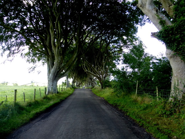 The Dark Hedges, Derrykeighan