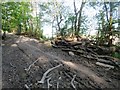 TQ1312 : Wood stack adjacent to bridleway by Peter Holmes