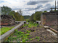 SD7506 : Manchester, Bolton and Bury Canal, Disused Locks at Nob End by David Dixon