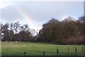 TQ9843 : Rainbow over the Chestnut Tell Plantation by David Anstiss