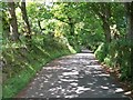 SH4738 : Passing point just above the village of Llanystumdwy by Eric Jones