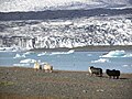 Jökulsárlón