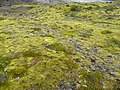 Parc national de Skaftafell