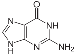 Image illustrative de l’article Guanine