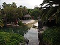 Escenario de espectáculos en Polynesia.