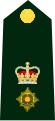 Exército Canadense (Lieutenant Colonel)