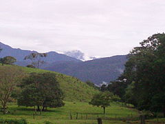 Sabana arbolada, Piedemonte