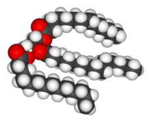 A space-filling model of an unsaturated triglyceride.