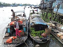 Mekong delta