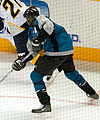 Mike Grier, San Jose Sharks