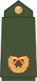 Brigadier general (Nepali: सहायक रथी, romanized: Sahaayak rathee) (Nepalese Army)[36]