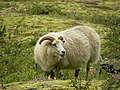 Parc national de Skaftafell