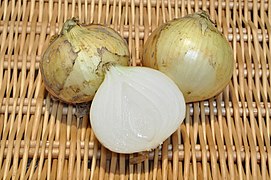 Food storage leaves in an onion bulb