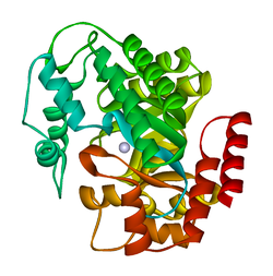 Adenosin-Desaminase