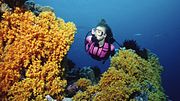 Scuba off South Caicos Island