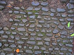 Cobbles