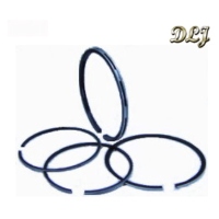 Piston Ring