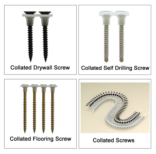 Collated Screws