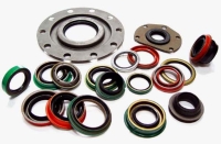 Oil Seals