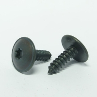 Self Tapping Screws