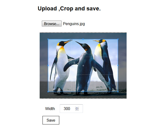 upload crop save Upload crop & save
